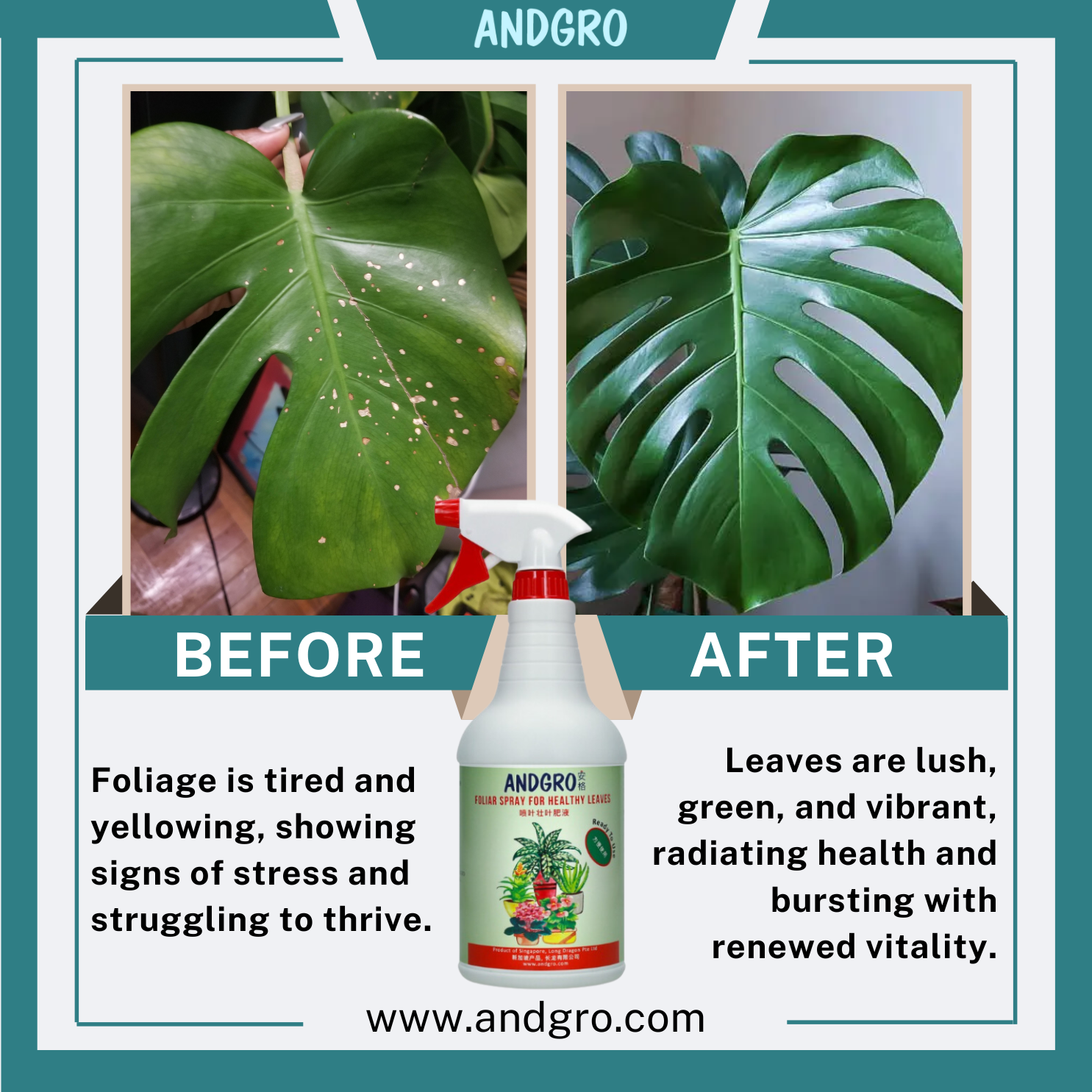 can you spray fertilizer on plant leaves Foliar Spray for Healthy Leaves 1000ml - Boost Plant Health