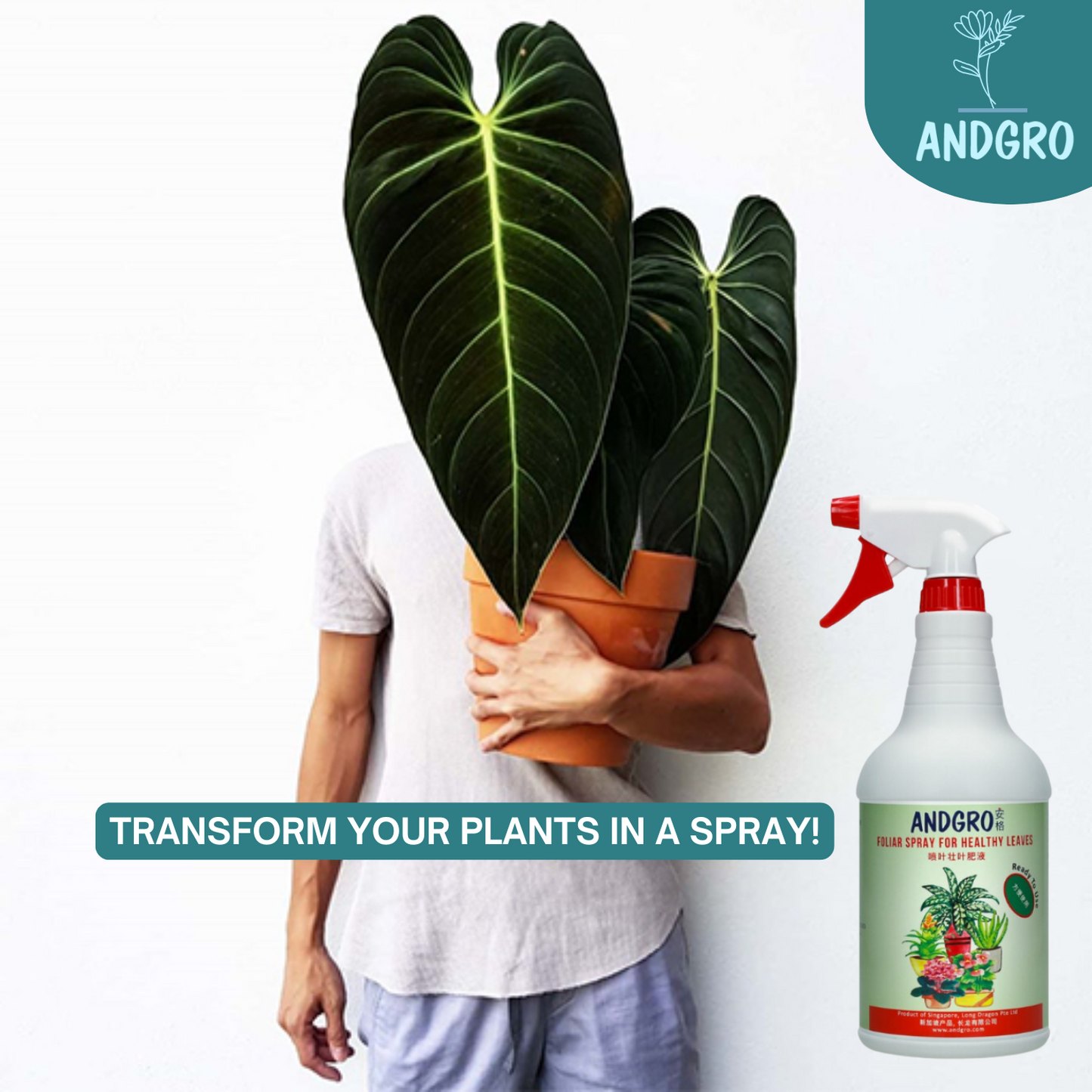 Spray for Flowering, Spray for Healthy Leaves & White Oil Insecticide
