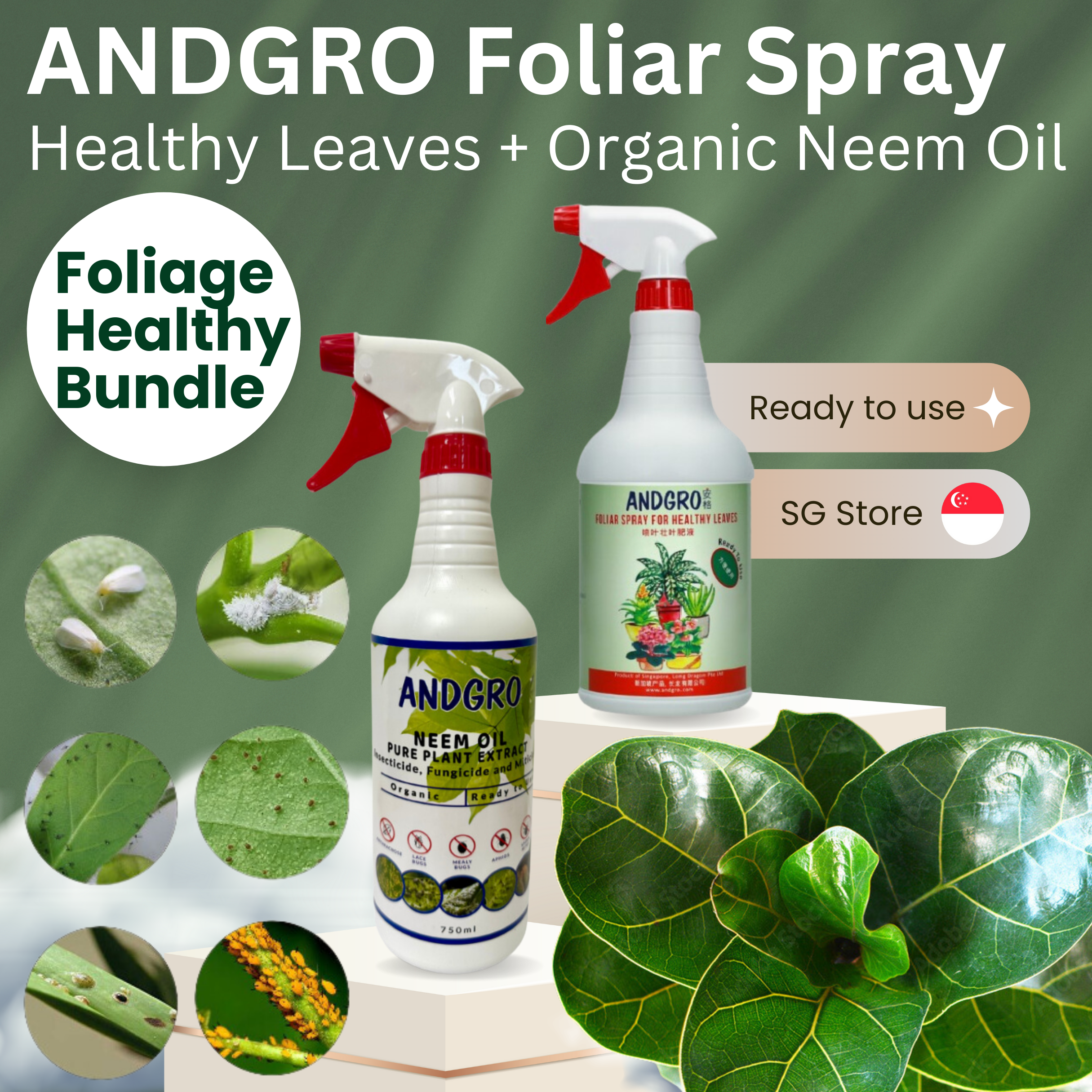 Foliar Spray for Healthy Leaves, Organic Neem Oil Insecticide - Boost ...