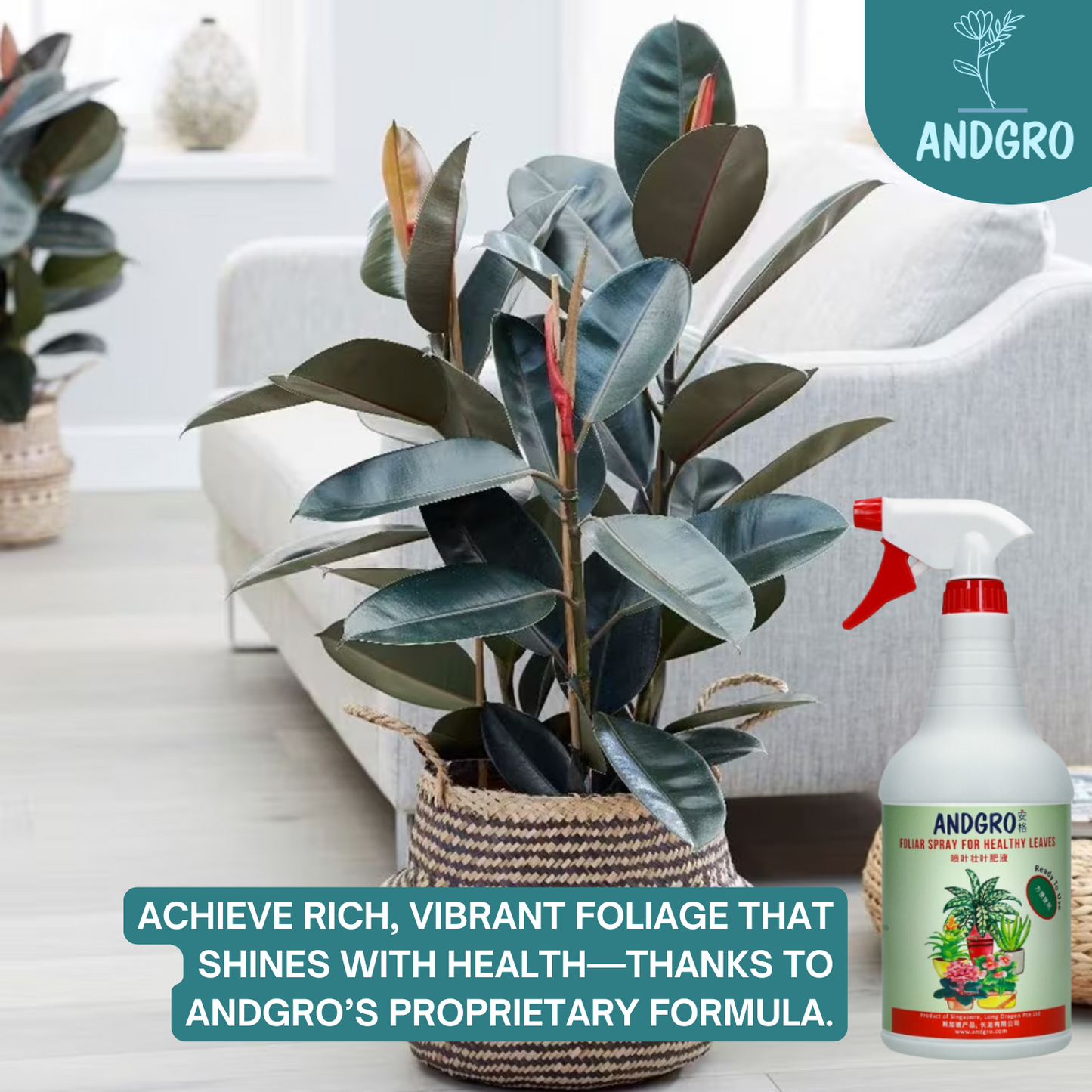 Spray for Flowering, Spray for Healthy Leaves & White Oil Insecticide