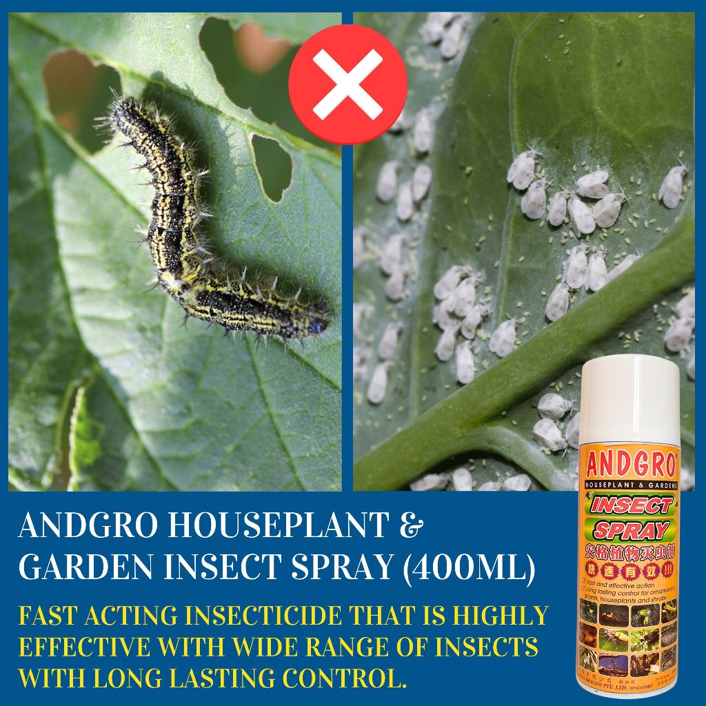Insect Spray insecticide (400ml)