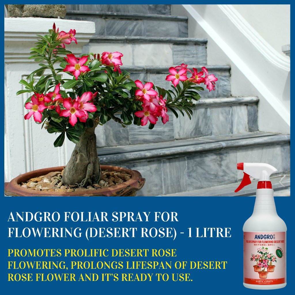 desert rose plant fertilizer Foliar Spray for Flowering Desert Rose 1000ml - Boost Bloom