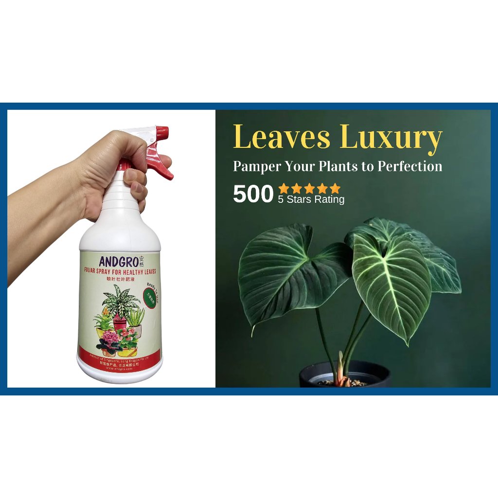 Spray for Healthy Leaves (1000ml)
