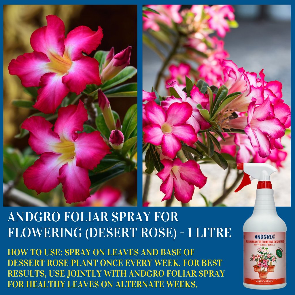 Foliar Spray for Flowering - Desert Rose (Carton Deal, 1000ml x 6 Bottles)