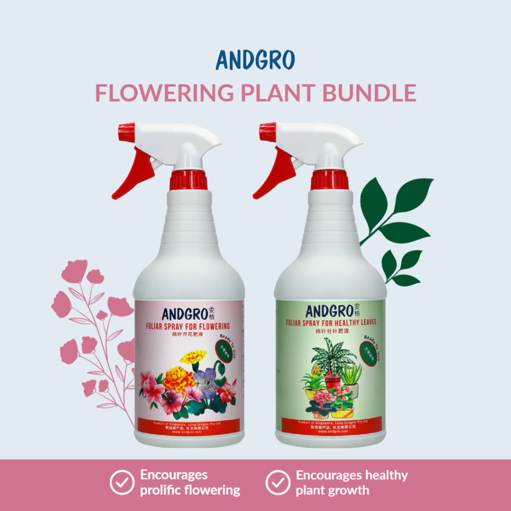 Foliar Spray for Flowering & Healthy Leaves Bundle Deal