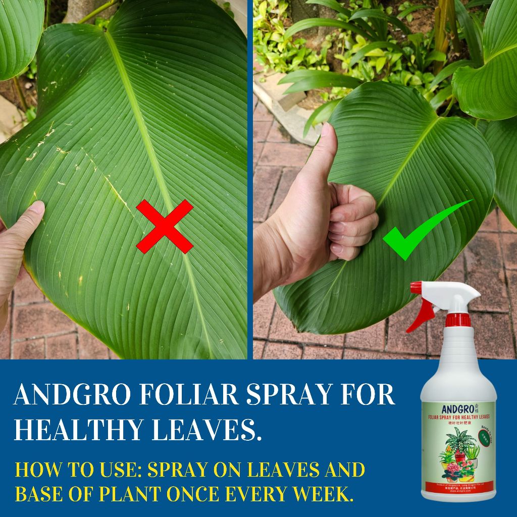 Foliar Spray for Healthy Leaves(Carton Deal, 1000ml x 6 Bottles)
