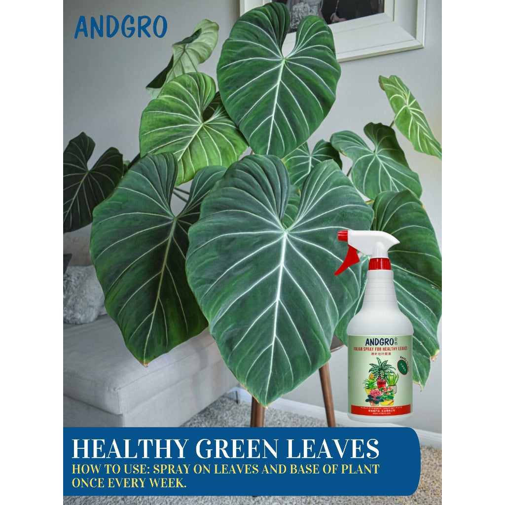 Foliar Spray for Healthy Leaves(Carton Deal, 1000ml x 6 Bottles)