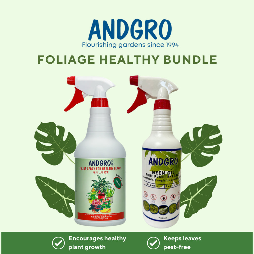 Foliar Spray for Healthy Leaves, Organic Neem Oil Insecticide