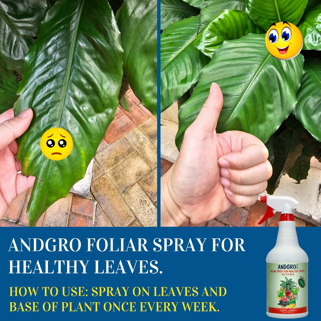 Foliar Spray for Healthy Leaves, Organic Neem Oil Insecticide