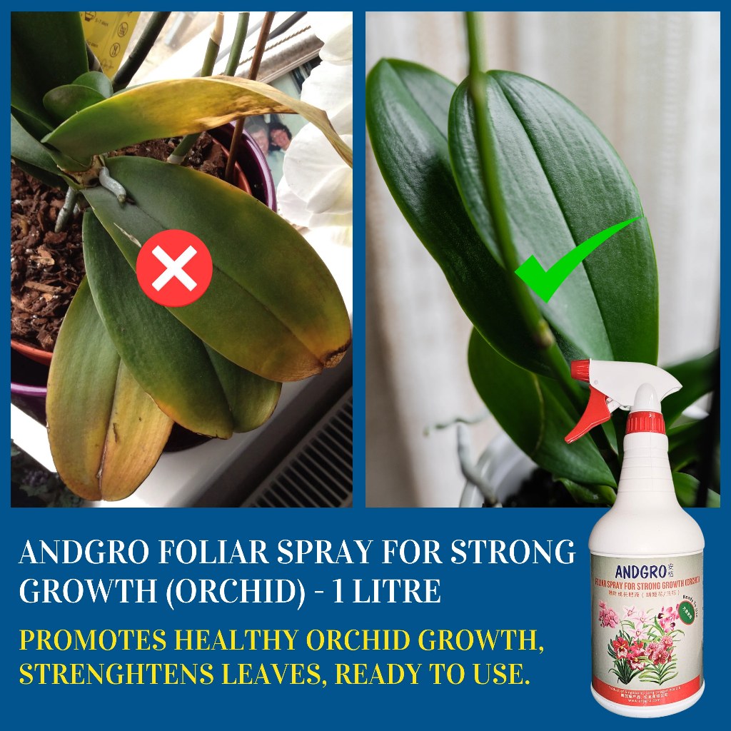 Foliar Spray for Flowering (Orchid) & Strong Growth (Orchid) 1000ml