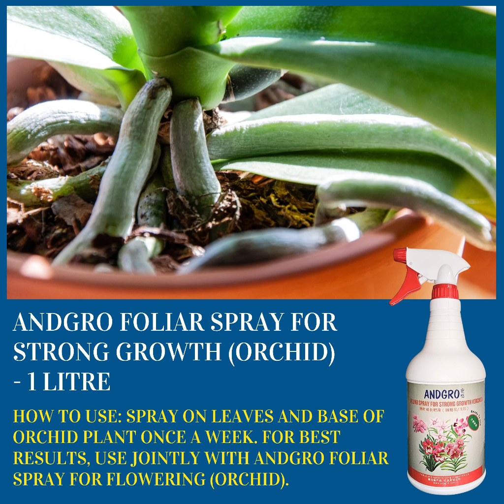 Foliar Spray for Flowering (Orchid) & Strong Growth (Orchid) 1000ml