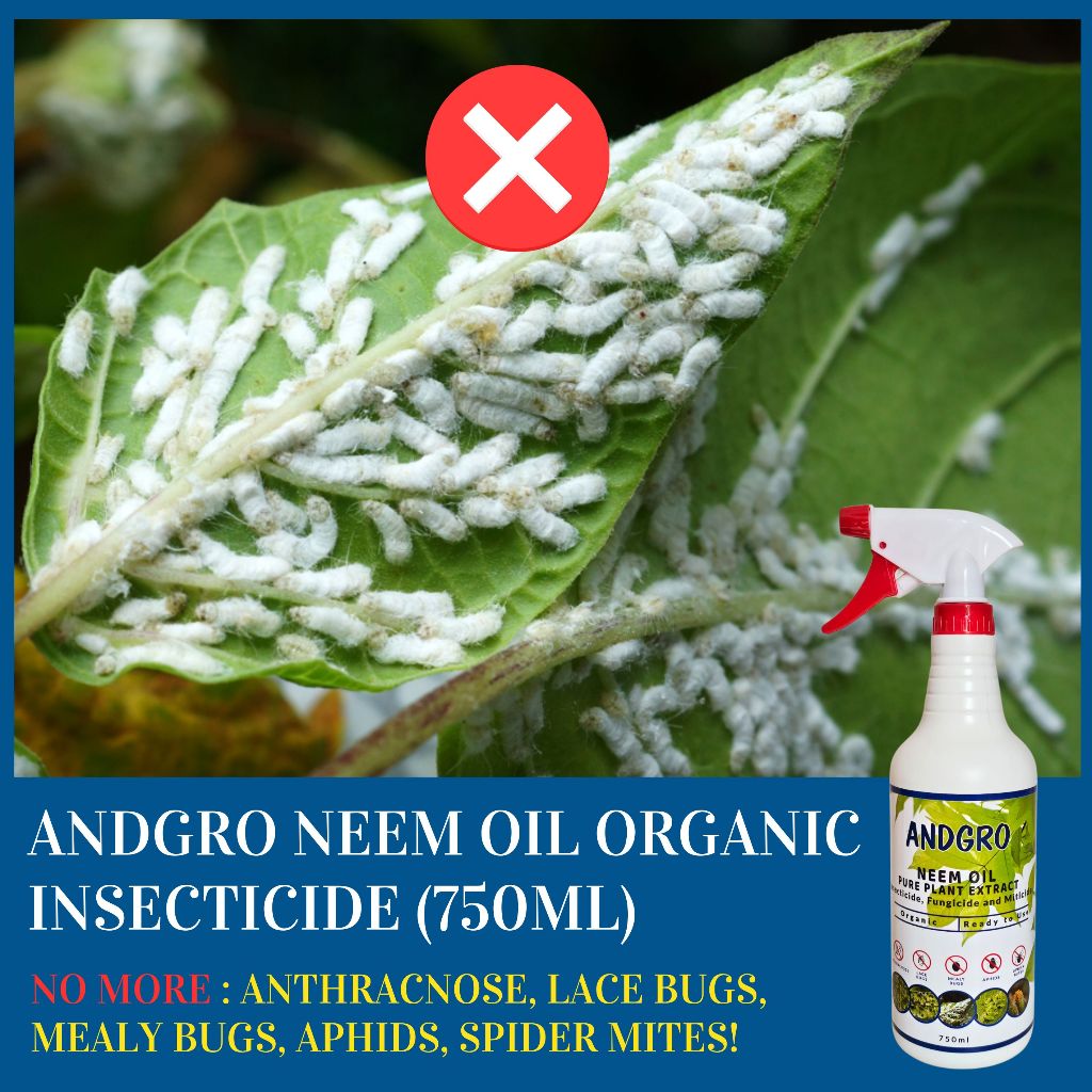 Foliar Spray for Healthy Leaves, Organic Neem Oil Insecticide
