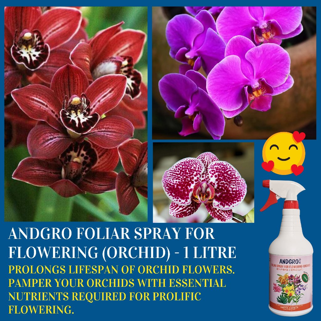 Foliar Spray for Flowering - Orchid (1000ml)