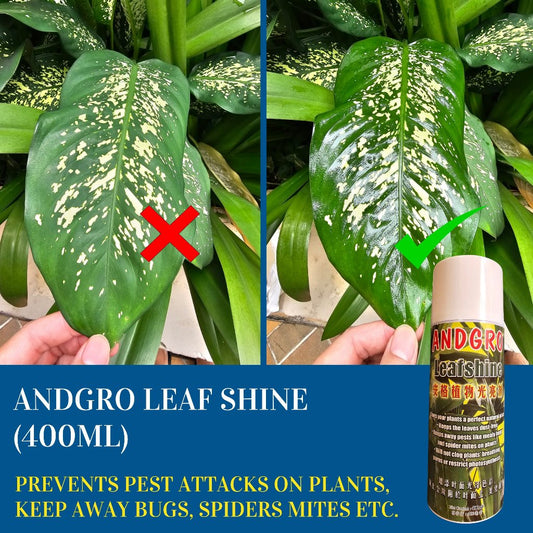Leaf Shine (400ml)