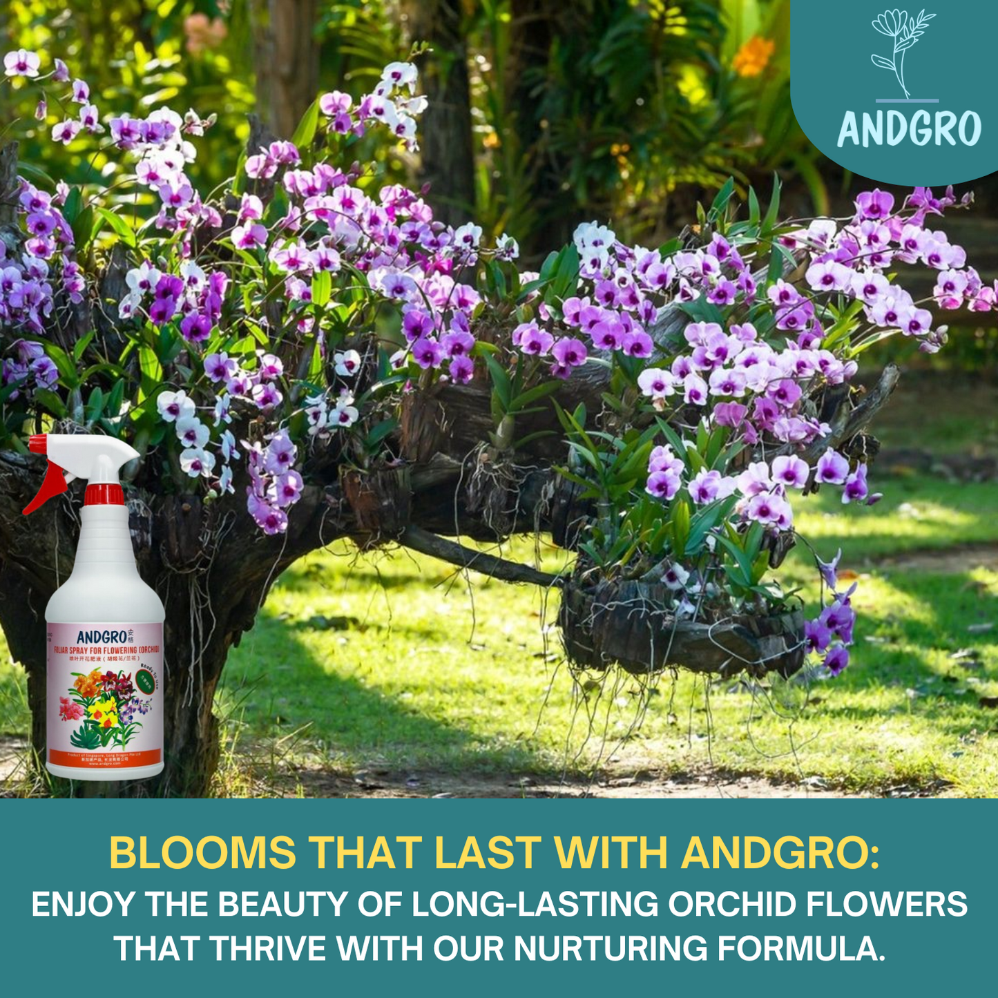 Foliar Spray for Flowering - Orchid (Carton Deal, 1000ml x 6 Bottles)