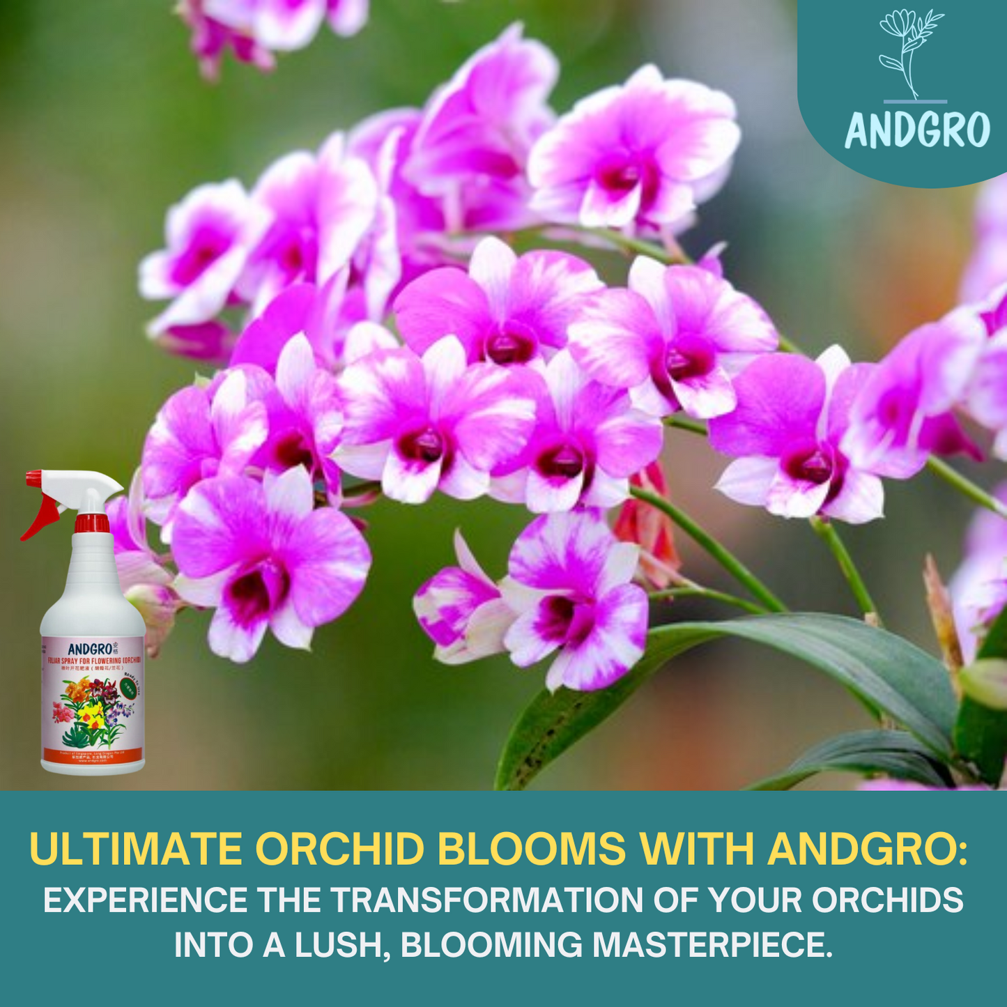 Foliar Spray for Flowering - Orchid (Carton Deal, 1000ml x 6 Bottles)