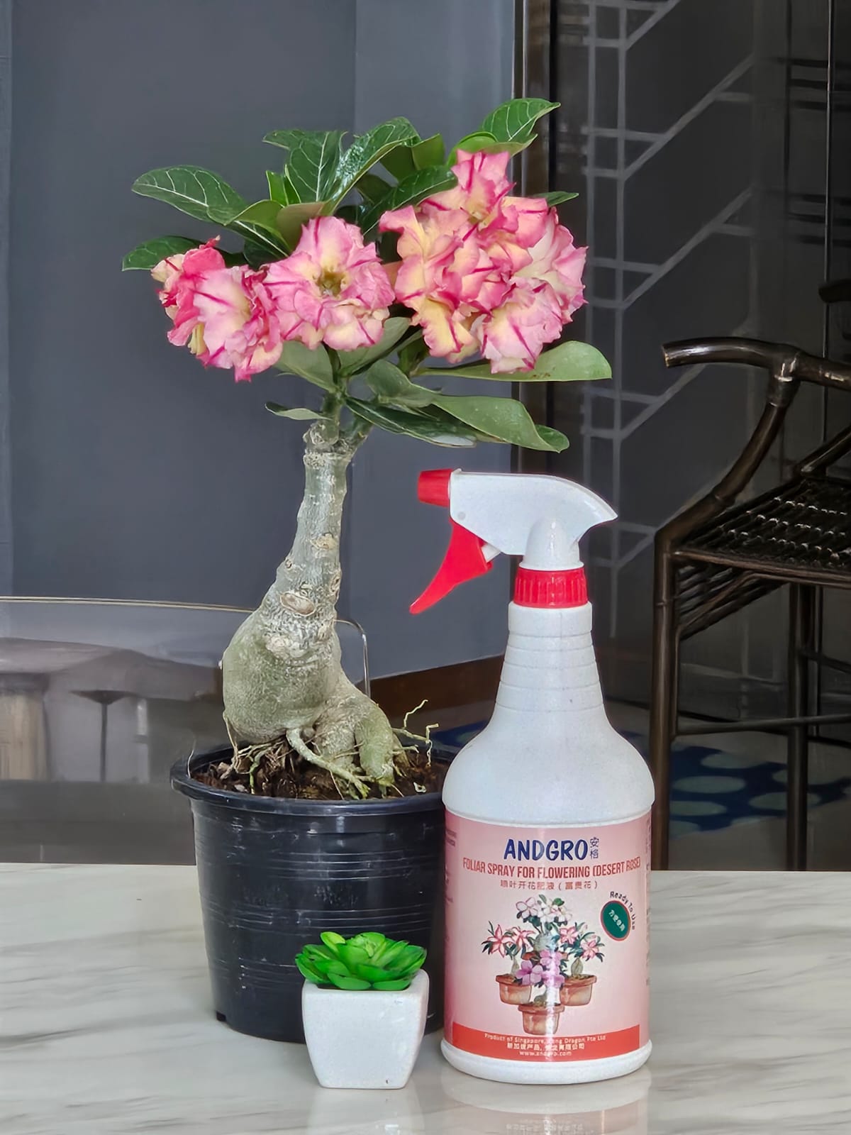 Foliar Spray for Flowering - Desert Rose (Carton Deal, 1000ml x 6 Bottles)