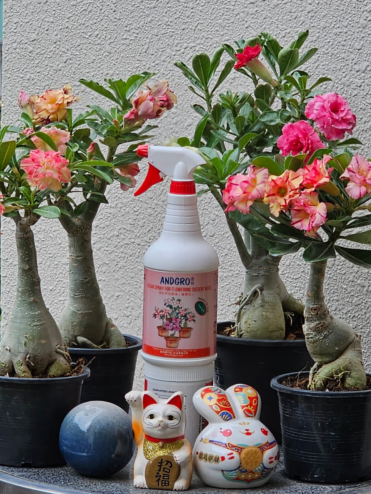 Foliar Spray for Flowering - Desert Rose (Carton Deal, 1000ml x 6 Bottles)