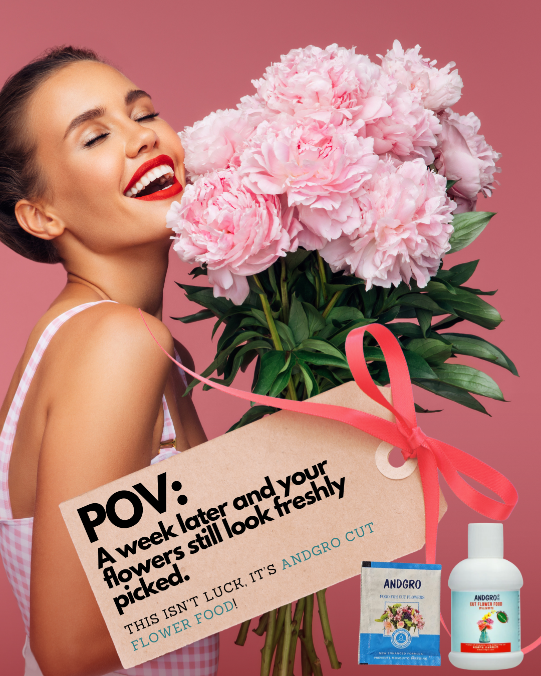 Cut Flower Food (10 Sachets of 5gm)